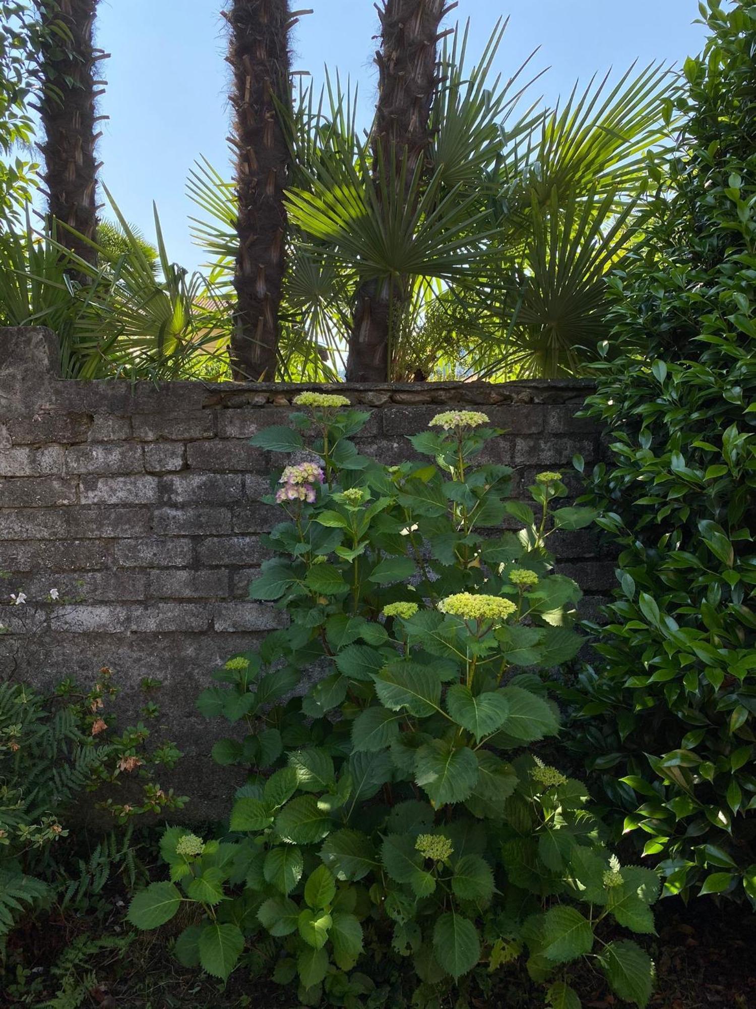 Casa Tranquilla Villa Cannobio Luaran gambar